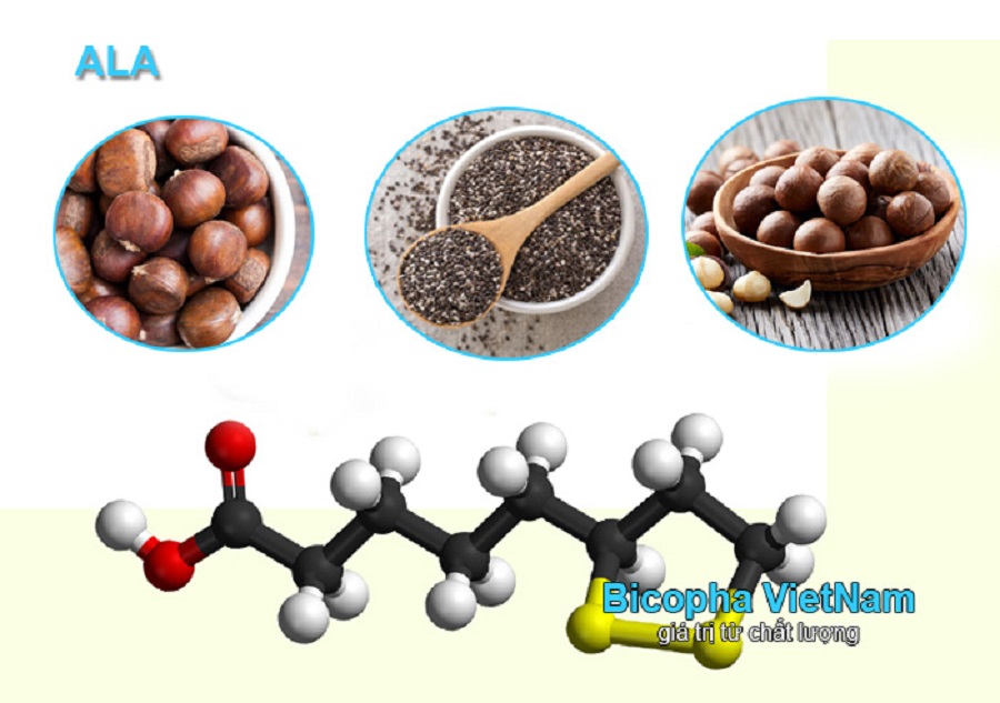 ALA Alpha Lipoic Acid