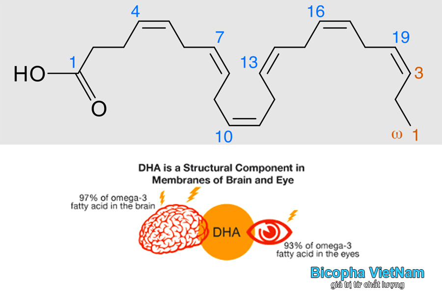 DHA và Omega 3 giúp hỗ trợ não bộ, thị lực và tim mạch