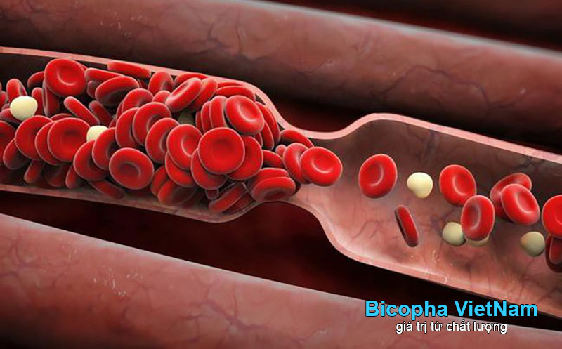 tác dụng của epa mà ít người biết đến