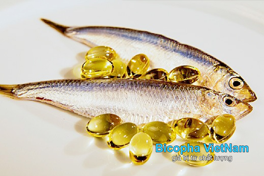 Axit béo Omega 3 trong cá hồi