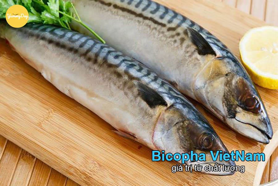 cá thu là thực phẩm bổ sung Omega 3