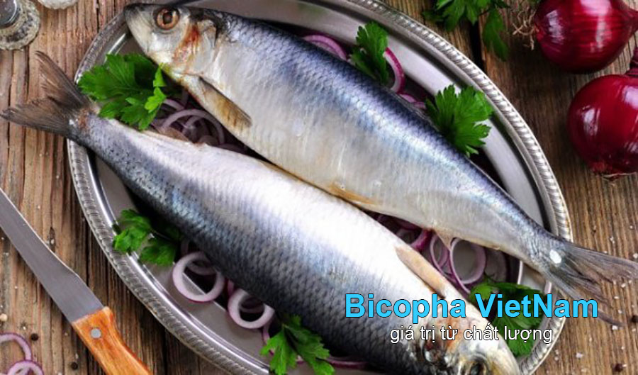 Cá trích là thực phẩm giàu Omega 3 và DHA cho bà bầu