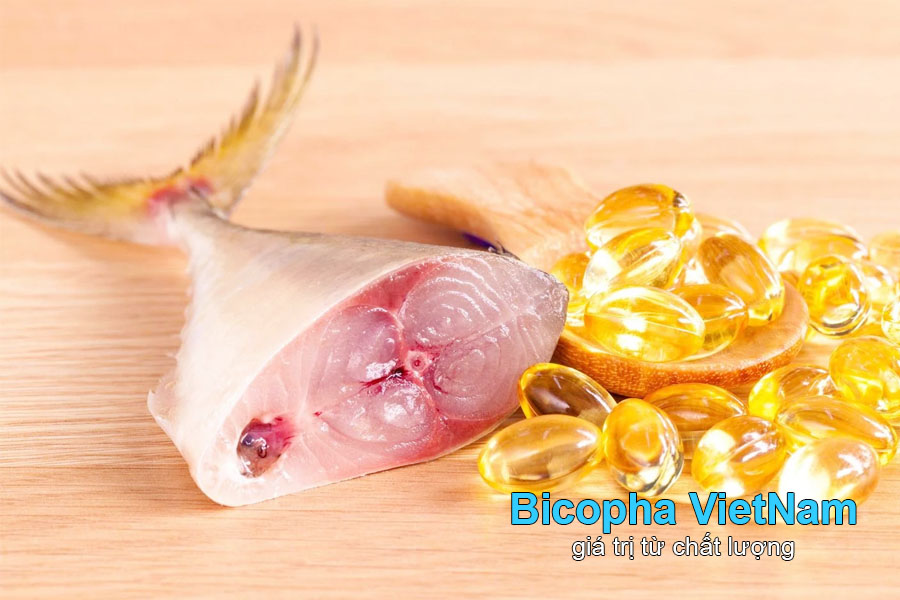 Công nghệ chiết xuất dầu cá Omega 3 tiên tiến