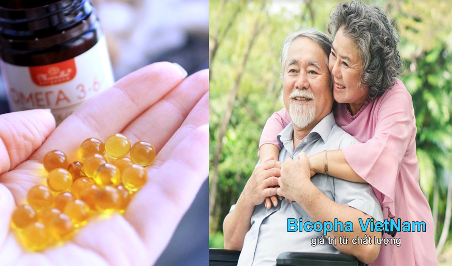 Bổ sung omega 369 cho người cao tuổi