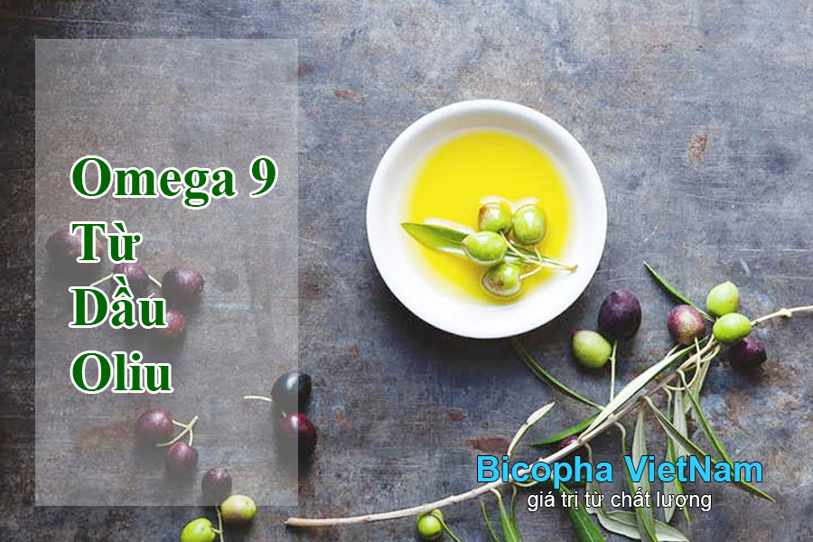 Chiết xuất omega 9 từ dầu oliu