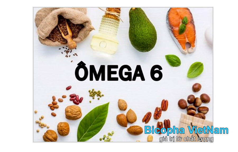 Omega 6 là gì? Các đặc điểm về omega 6