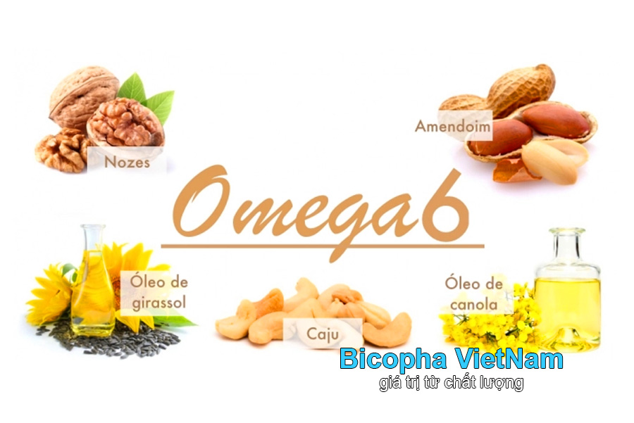 Omega 6 là gì? Thành phần