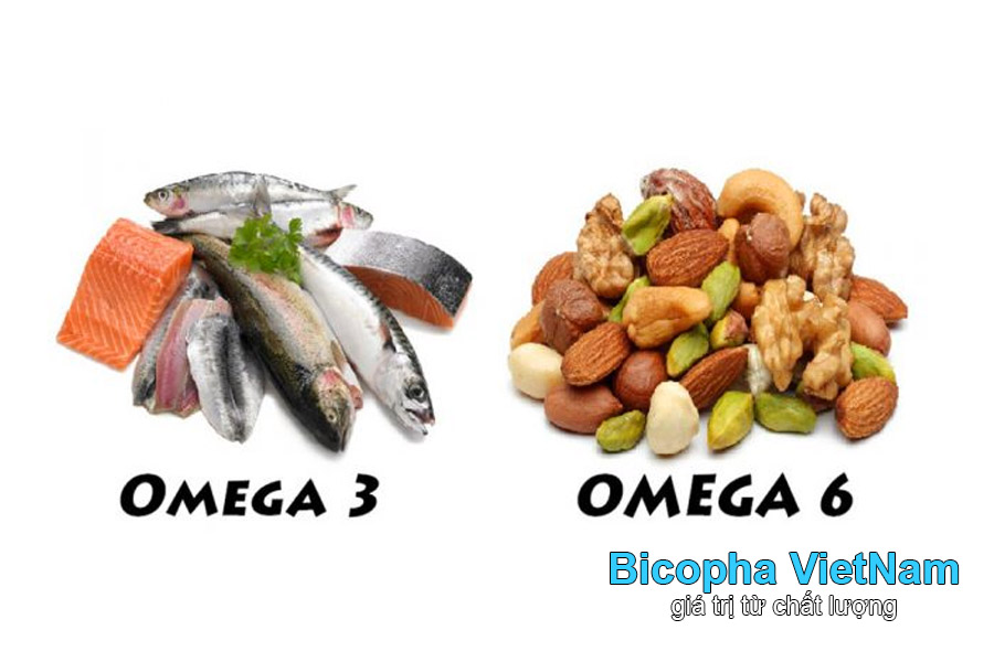 Sự khác nhau giữa Omega 3 và Omega 6