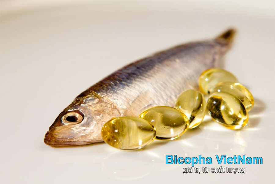 Tiêu chí đánh giá dầu cá Omega 3 tốt nhất thị trường Việt Nam