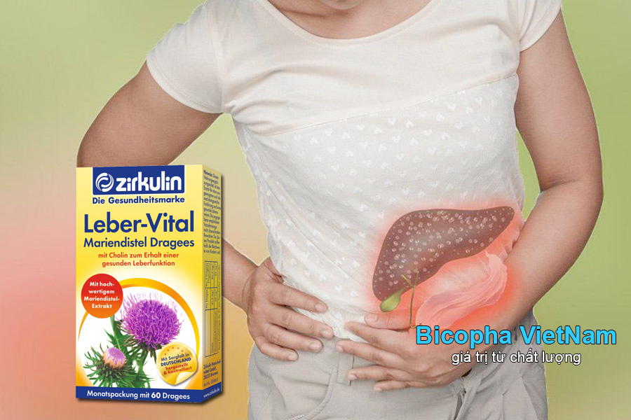 Bổ gan Zirkulin Leber Vital cho người bệnh viêm gan