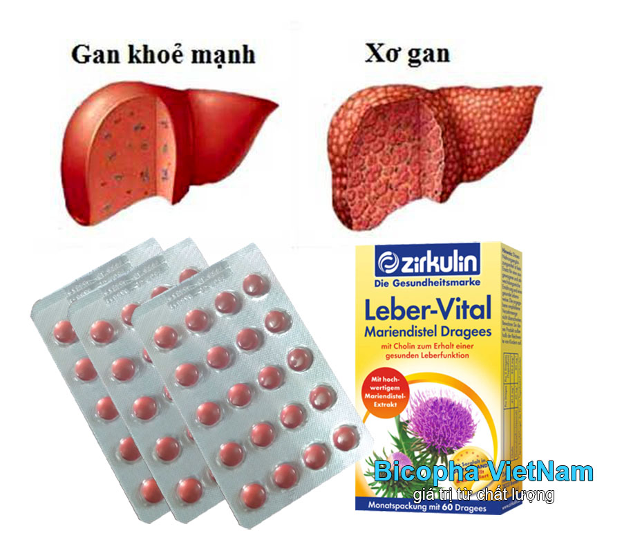 Thuốc bổ gan Zirkulin Leber Vital tốt cho người xơ gan